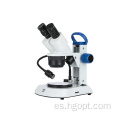 Microscopio estéreo de investigación con luz LED ajustable